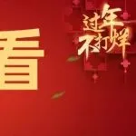跨境人春节备战指南，安心过年不用愁！