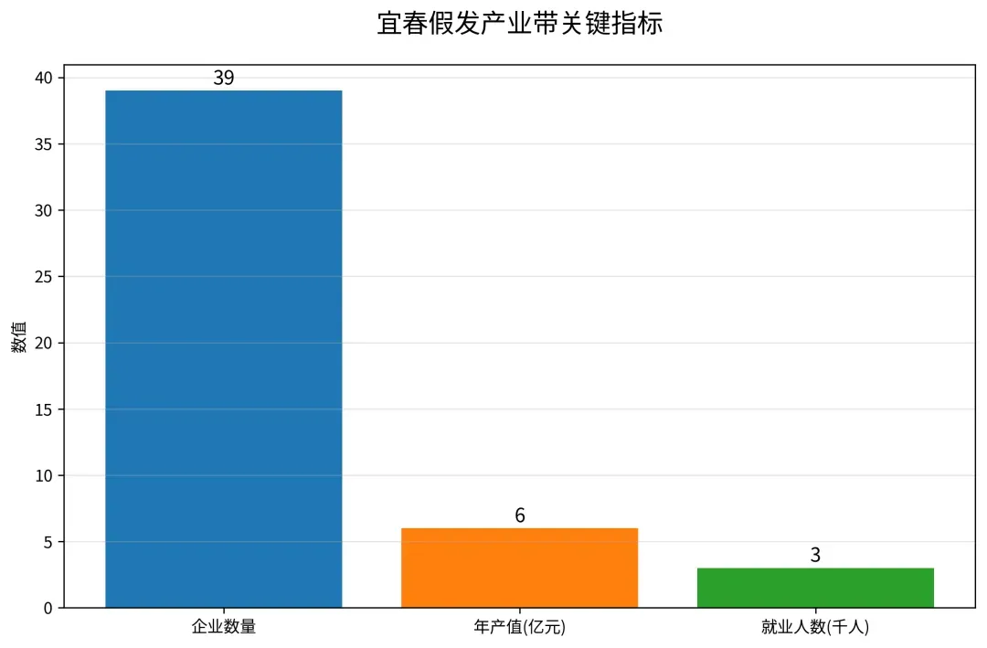 宜春假发产业带.png