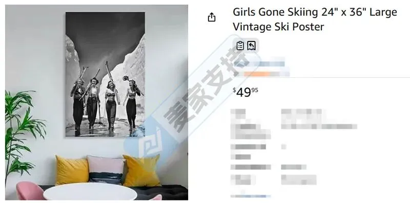 Ruediger Lauktien版权&Girls Gone Skiing商标双双维权，当心TRO冻结风险