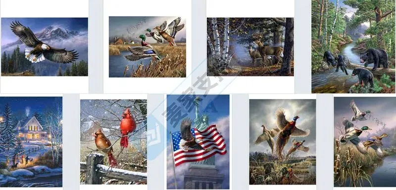 5-cv-01218，野生动物版权隐匿维权，36店涉案账户资金已被TRO冻结！"