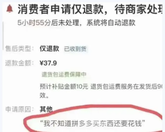 下场做品牌，“新拼姆”能成为拼多多的二级火箭吗？