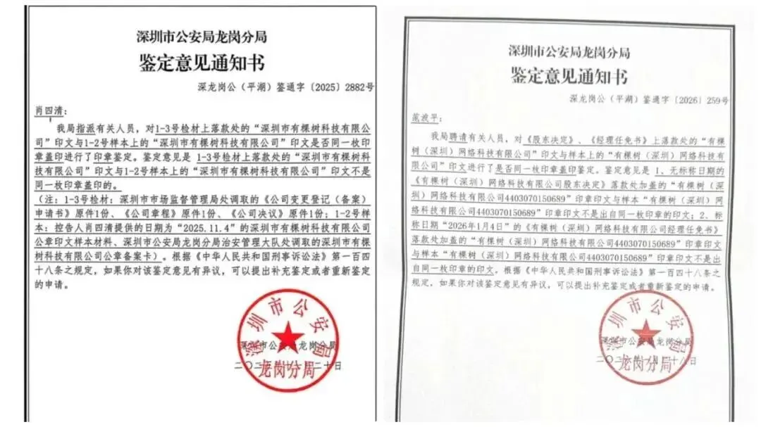 上演甄嬛?深圳大卖被举报公章造假,已辟谣?!