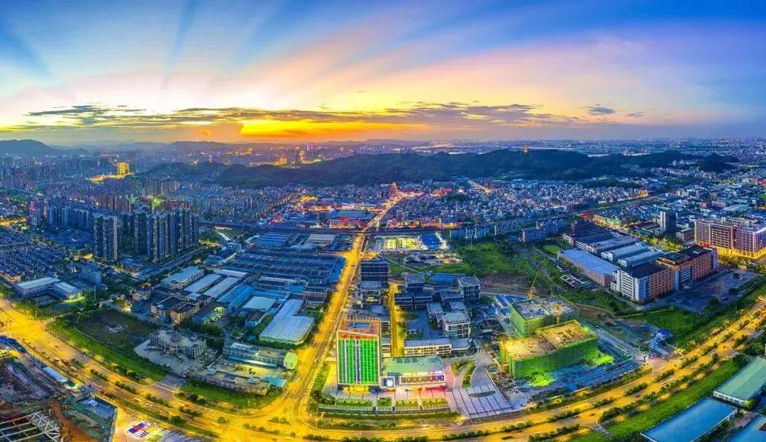 共建 轨道上的大湾区 2021年粤港澳生态环境青年论坛在江门举办