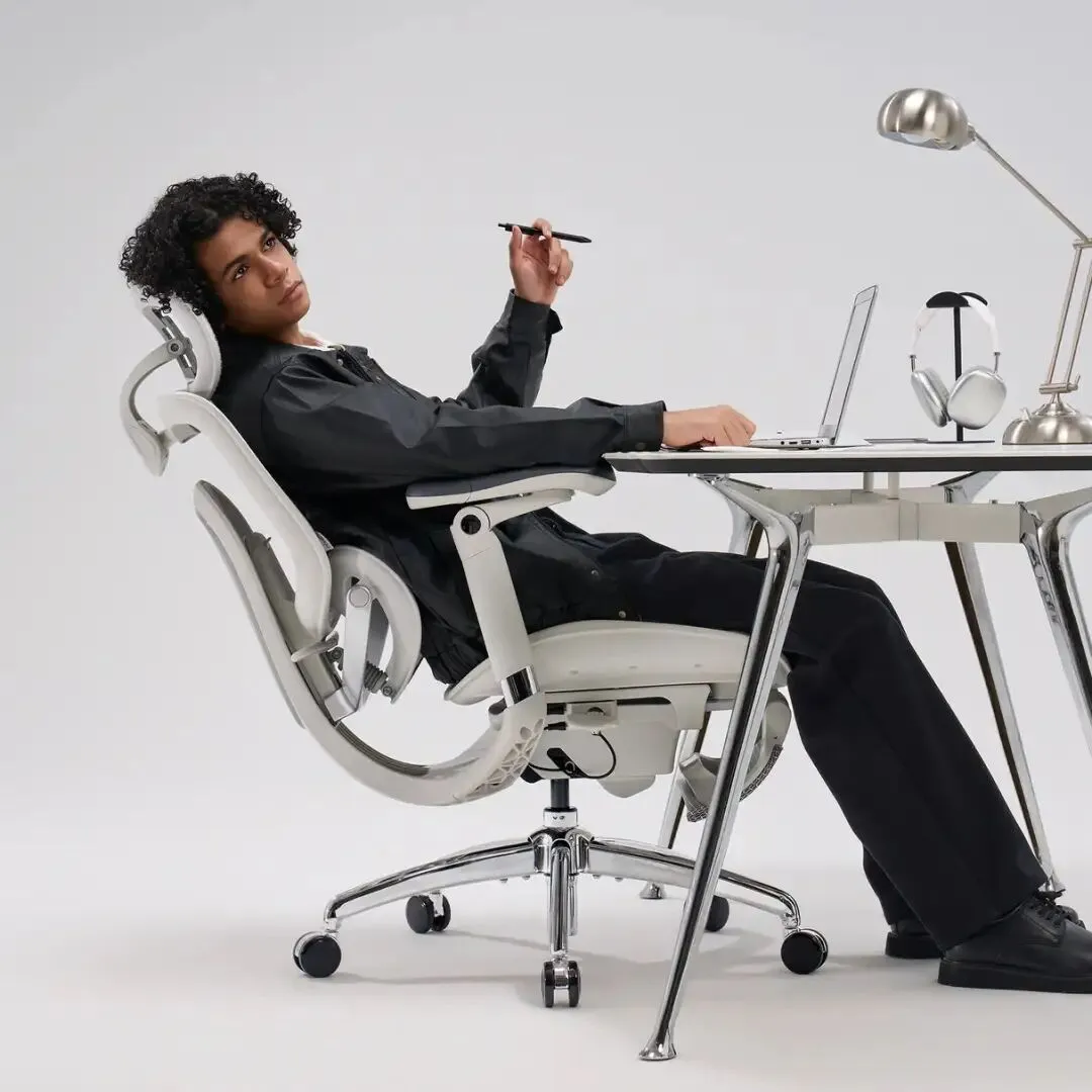 Sihoo Doro C300 Pro V2 Ergonomic Office Chair
