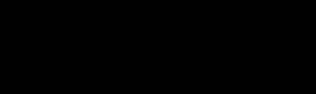 FS新版头.gif
