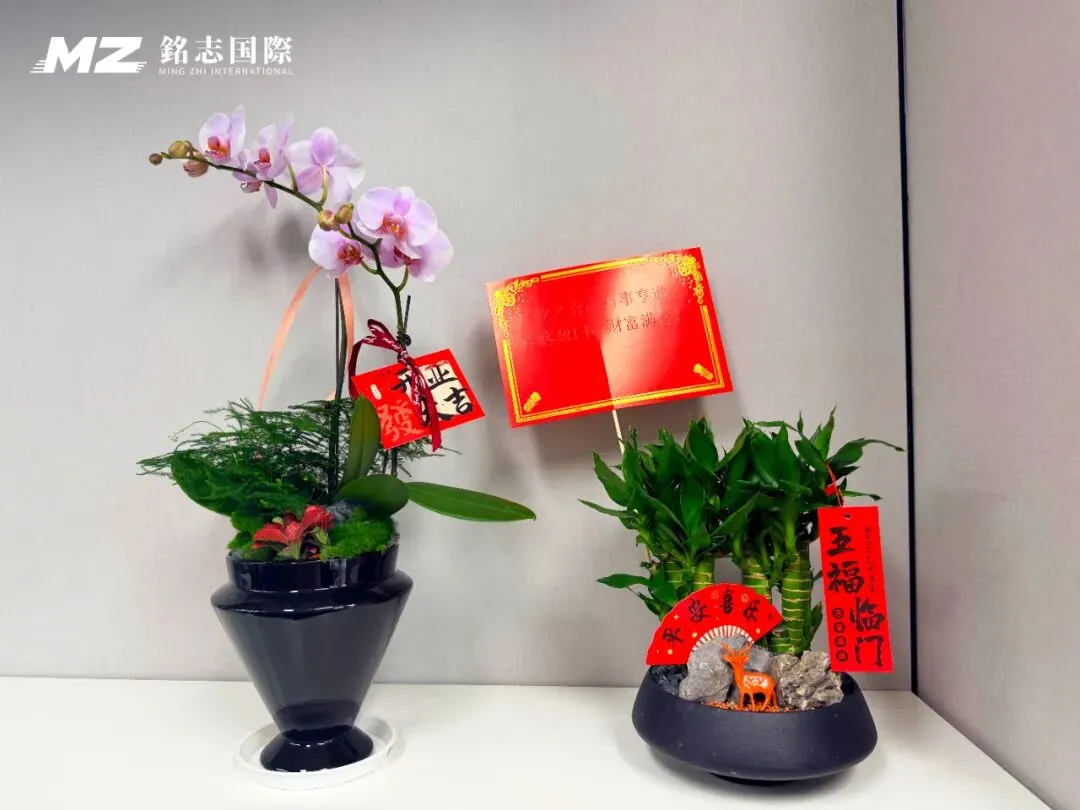 铭志长沙分公司盛大开业，华中物流版图再添新翼