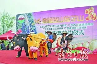 韩国当地的节日有哪些(韩国本地的传统节日有哪些?)