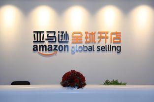 亚马逊上海(亚马逊上海：如何在中国最大的国际电商平台上开店)