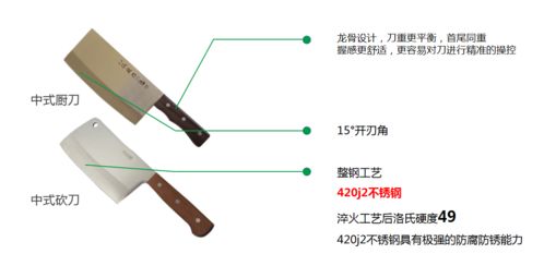 常见选品工具有哪些(常用选品工具大盘点 - 选品工具推荐)
