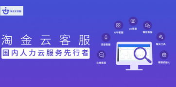 国外第三方支付平台(国外支付平台替代传统支付模式)