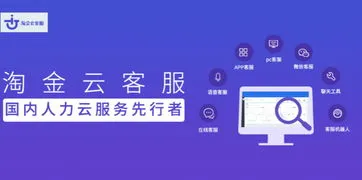 国外第三方支付平台(国外支付平台替代传统支付模式)