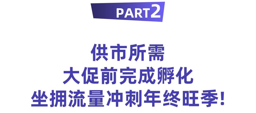 从入驻到月销50K美金！运动鞋服商家选品思路助力冲刺黑五大促