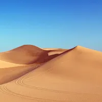林先生头像