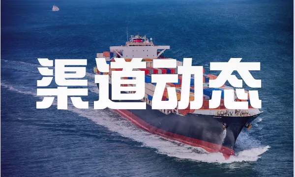 新渠道!法国海运递延直送,清关后1周内签收