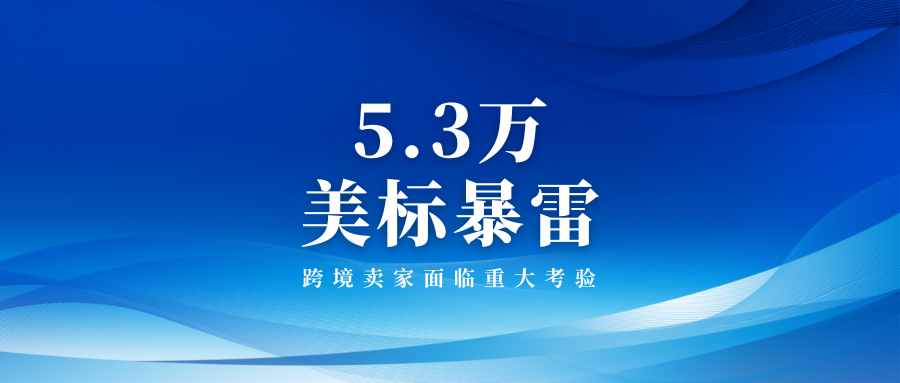 商标危机潮涌！5.3万美标暴雷，跨境卖家面临重大考验