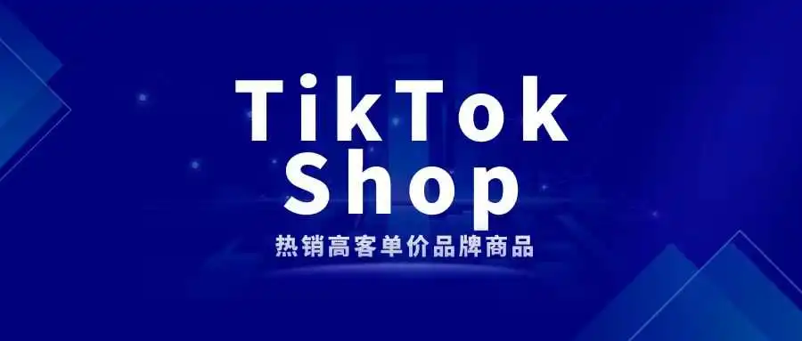 TikTok Shop热销高客单价品牌商品，黑五引爆销售新纪录！