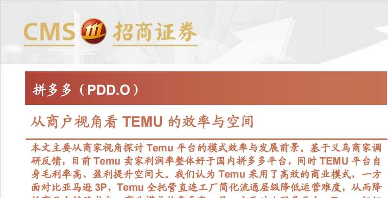 《从商户视角看TEMU的效率与空间》PDF下载