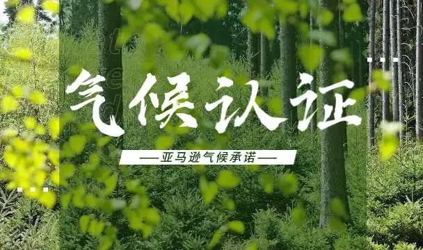 强推!解锁亚马逊“绿标资格”,流量狂飙10%