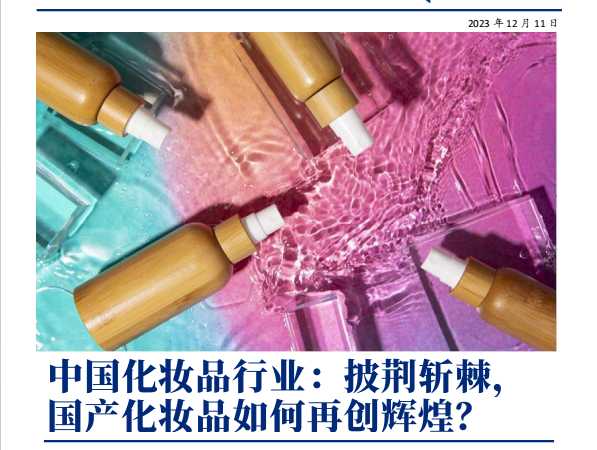 《中国化妆品行业：披荆斩棘，国产化妆品如何再创辉煌？》PDF下载