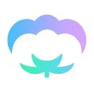 小棉花保险