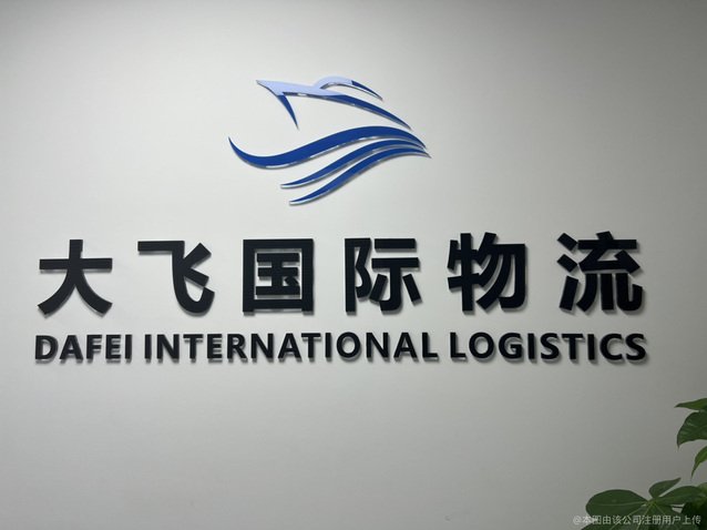 大飞国际物流