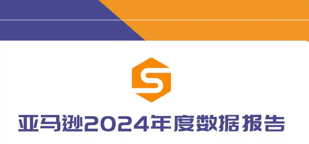 《亚马逊2024年度数据报告》PDF下载