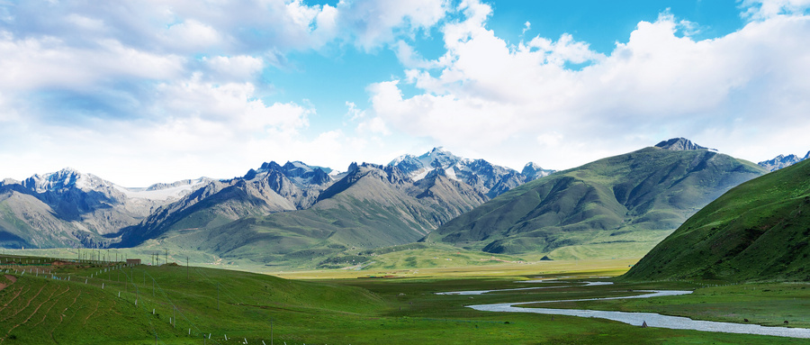 公司要求低成本“快速试错”，甚至倾向灰黑手法，但运营坚持白帽，难道只能以离职收场？