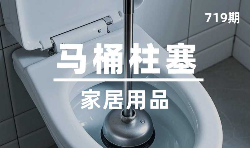 第719期-家居用品-马桶柱塞