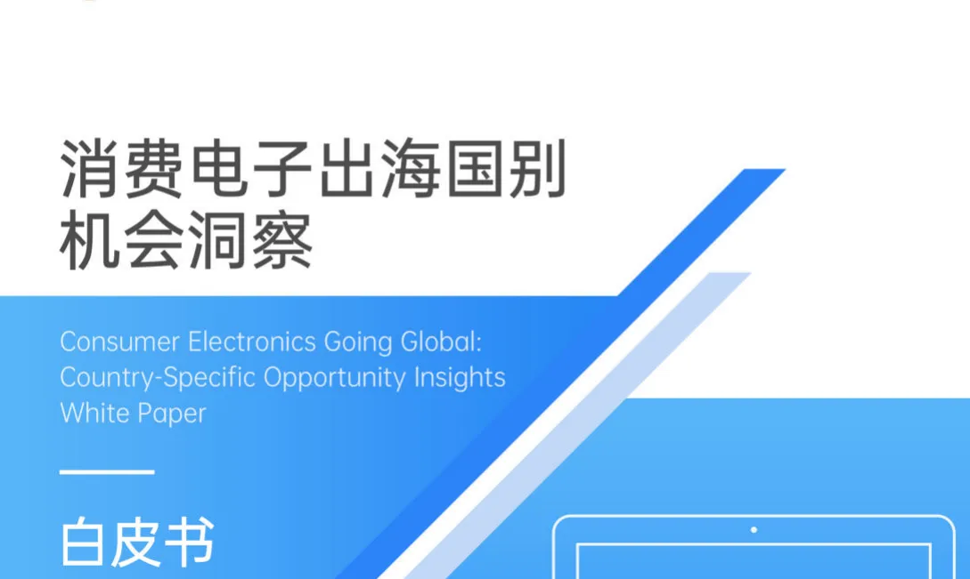 《2025消费电子出海国别机会洞察白皮书》PDF下载