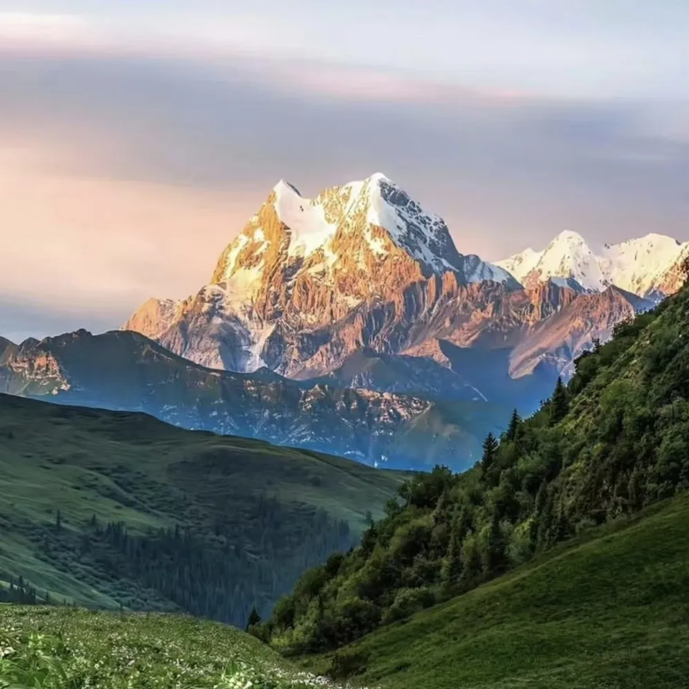 常州**汽车科技有限公司头像