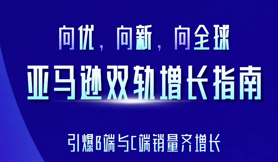 《亚马逊双轨增长指南》PDF下载