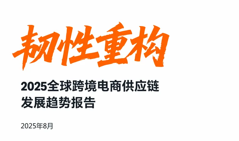 《2025全球跨境电商供应链发展趋》PDF下载