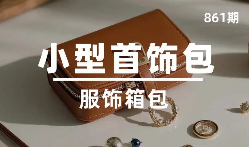 第861期-服饰箱包-小型首饰包