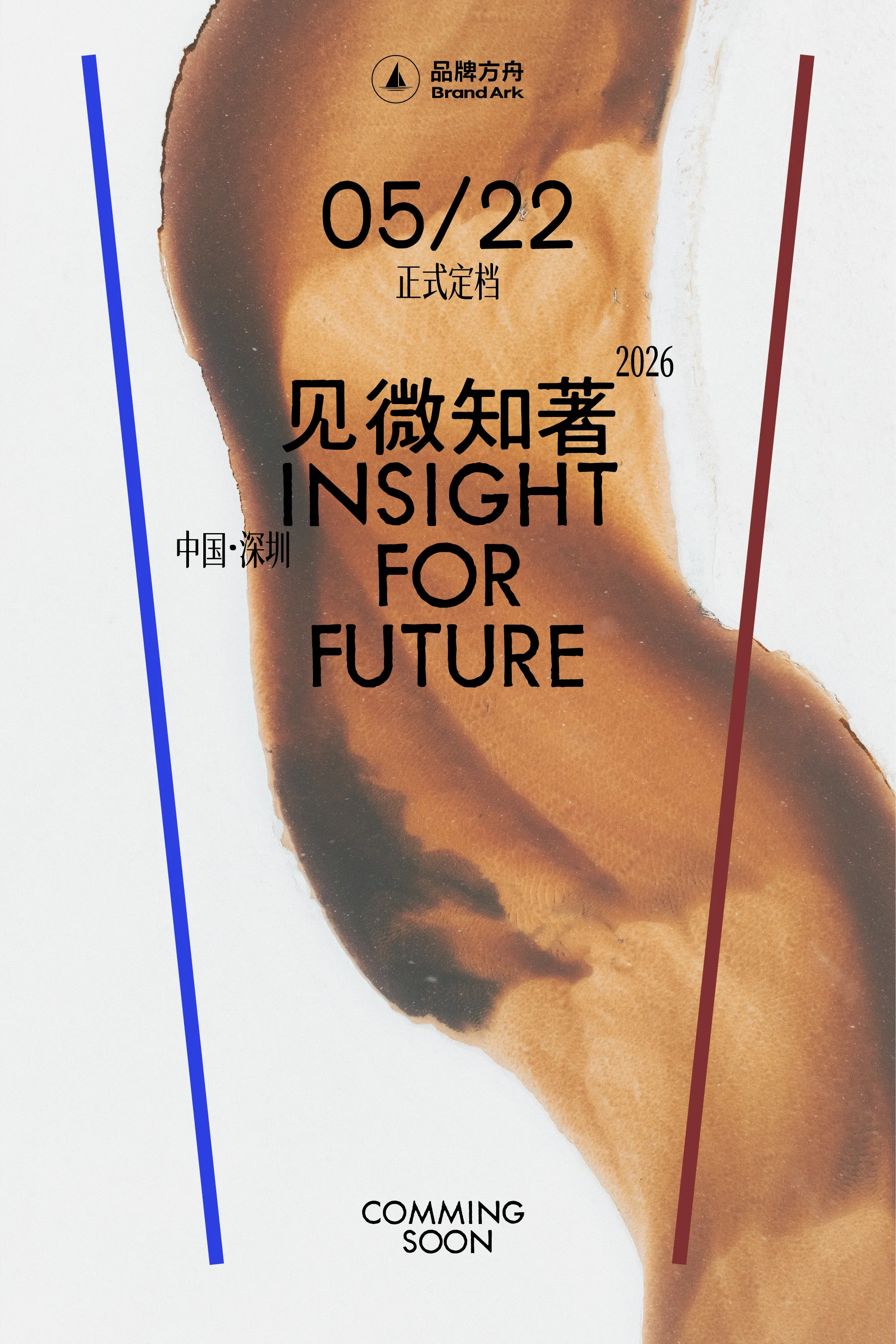 「见微知著」2026品牌方舟出海论坛