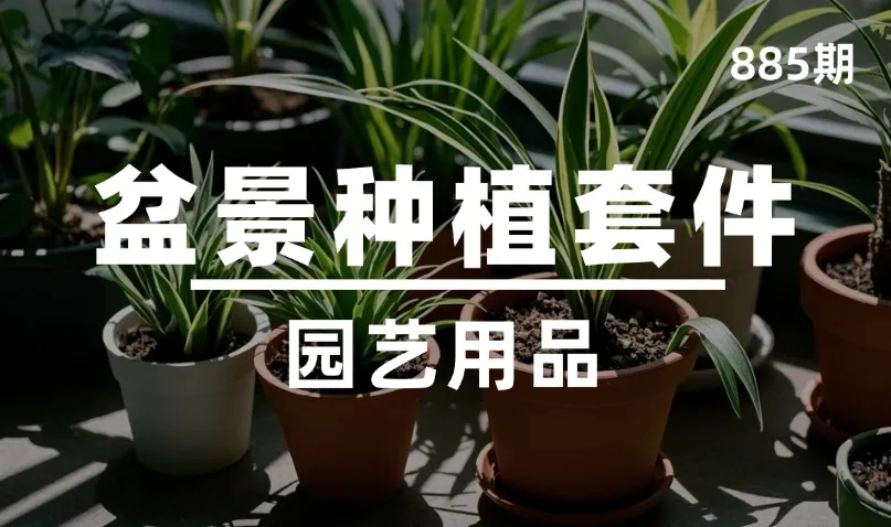 第885期-园艺用品-盆景种植套件
