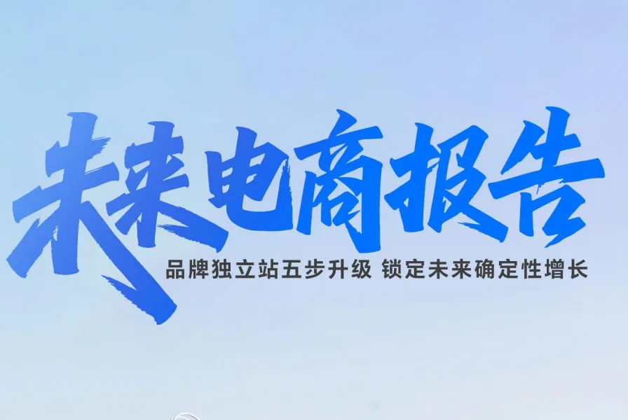《未来电商报告：品牌独立站五步升级锁定未来确定性增长》PDF下载