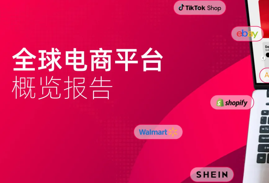 《全球电商平台概览报告》PDF下载