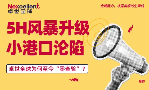 5H风暴升级：小港口也沦陷！市场报价反复横跳，为何卓世全球稳健前行？