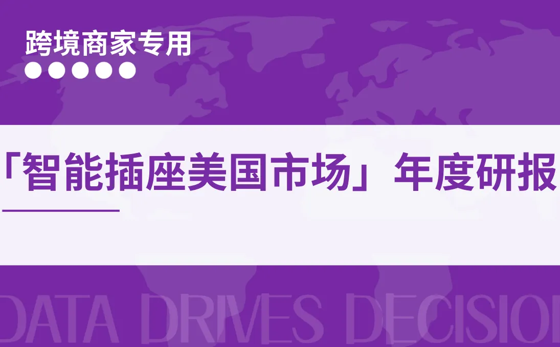 《智能插座美国市场年度研报》PDF下载