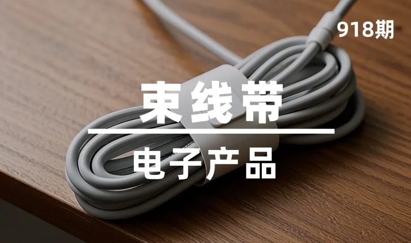第918期-电子产品-束线带