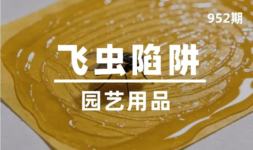 第952期-园艺用品-飞虫陷阱