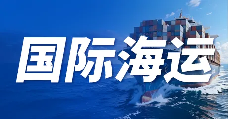美森至尊达