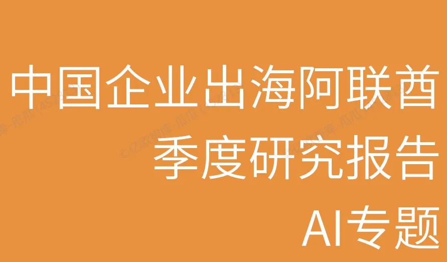 《2025中国AI企业出海系列研究：阿联酋篇》PDF下载