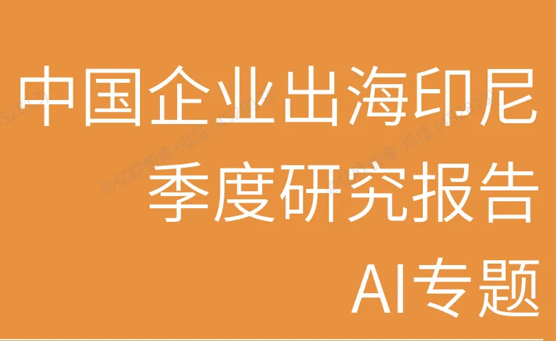 《2025中国AI企业出海系列研究：印尼篇》PDF下载