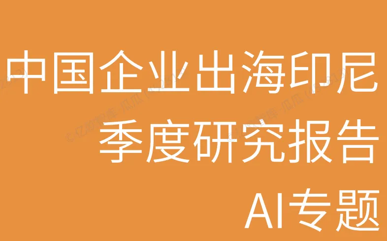《2025中国AI企业出海系列研究：印尼篇》PDF下载