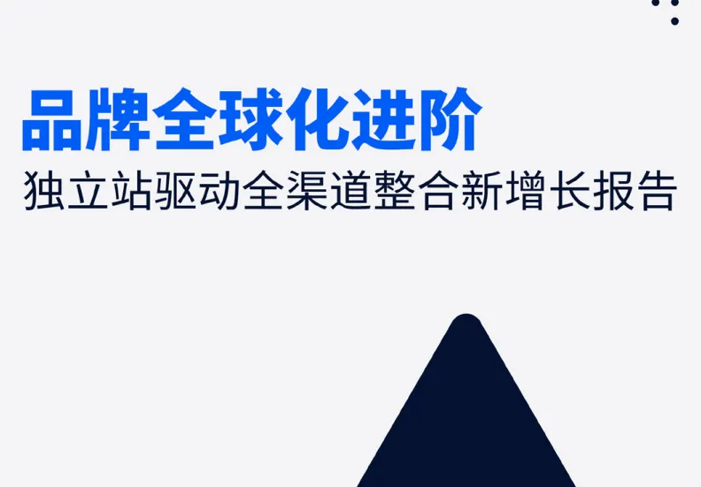 《独立站驱动全渠道整合新增长报告》PDF下载
