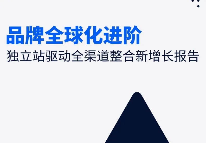 《独立站驱动全渠道整合新增长报告》PDF下载