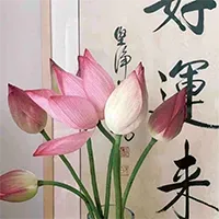 李小姐头像