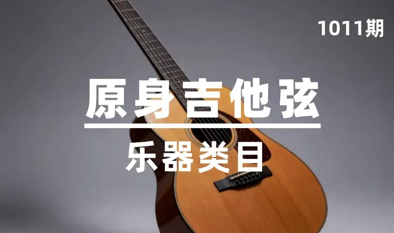 第1011期-乐器类目-原身吉他弦