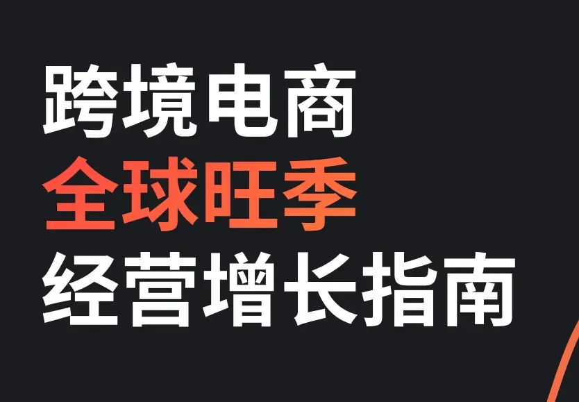 《跨境电商全球旺季经营增长指南》PDF下载
